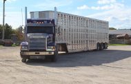 16 U.S. trucking companies file for bankruptcy in less than a month amid soaring diesel prices