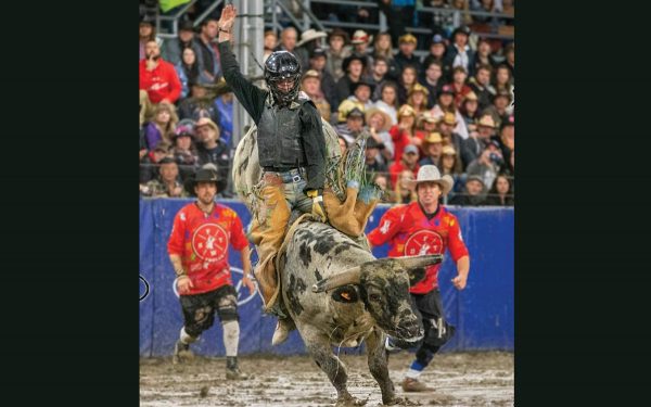 Sawyer Roth Bull Rider LOVING THE RIDE: Bull rider explains why he does it | FarmersForum.com