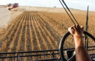 WESTERN ONTARIO: Crop Report