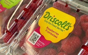Whistleblower alleges millions of Driscoll’s berries sent to Canada with excess chemical levels