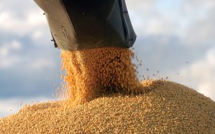 Record-breaking crop forecast