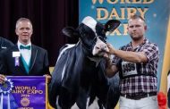 Durham Region Holstein takes Supreme Champion Heifer at World Dairy Expo